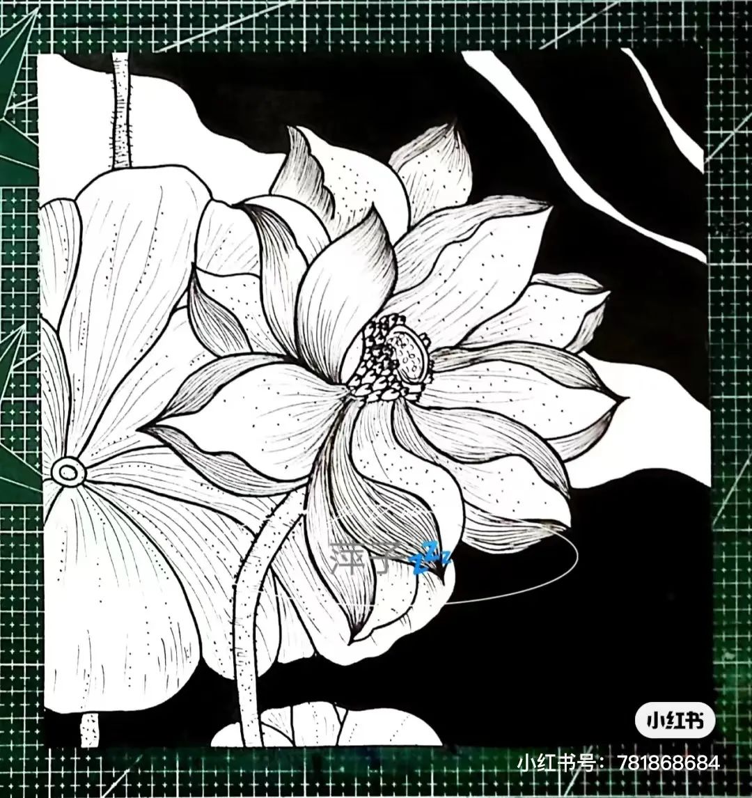 花卉简单线描创意画,花草线描画装饰