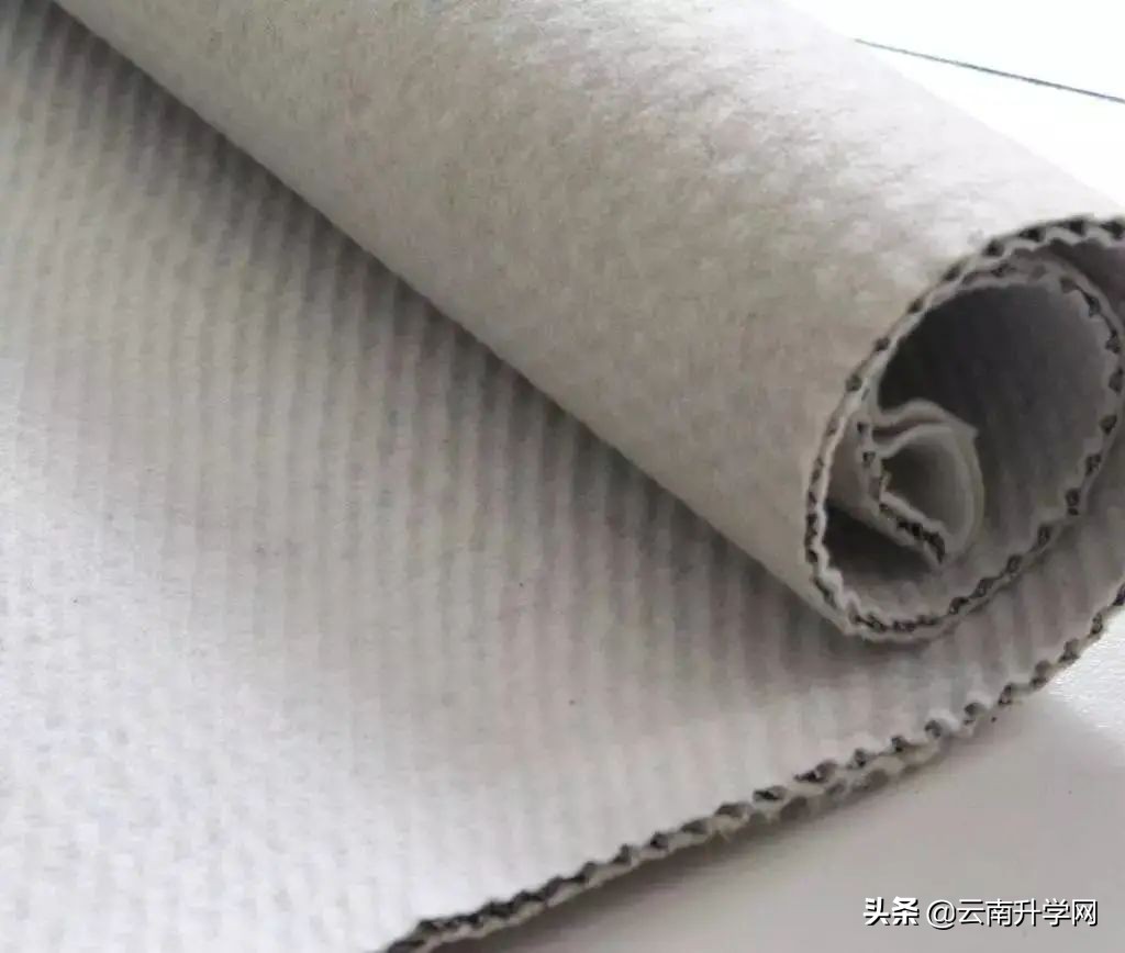 张雪峰十大冷门专业就业前景,北大清华冷门专业就业去向