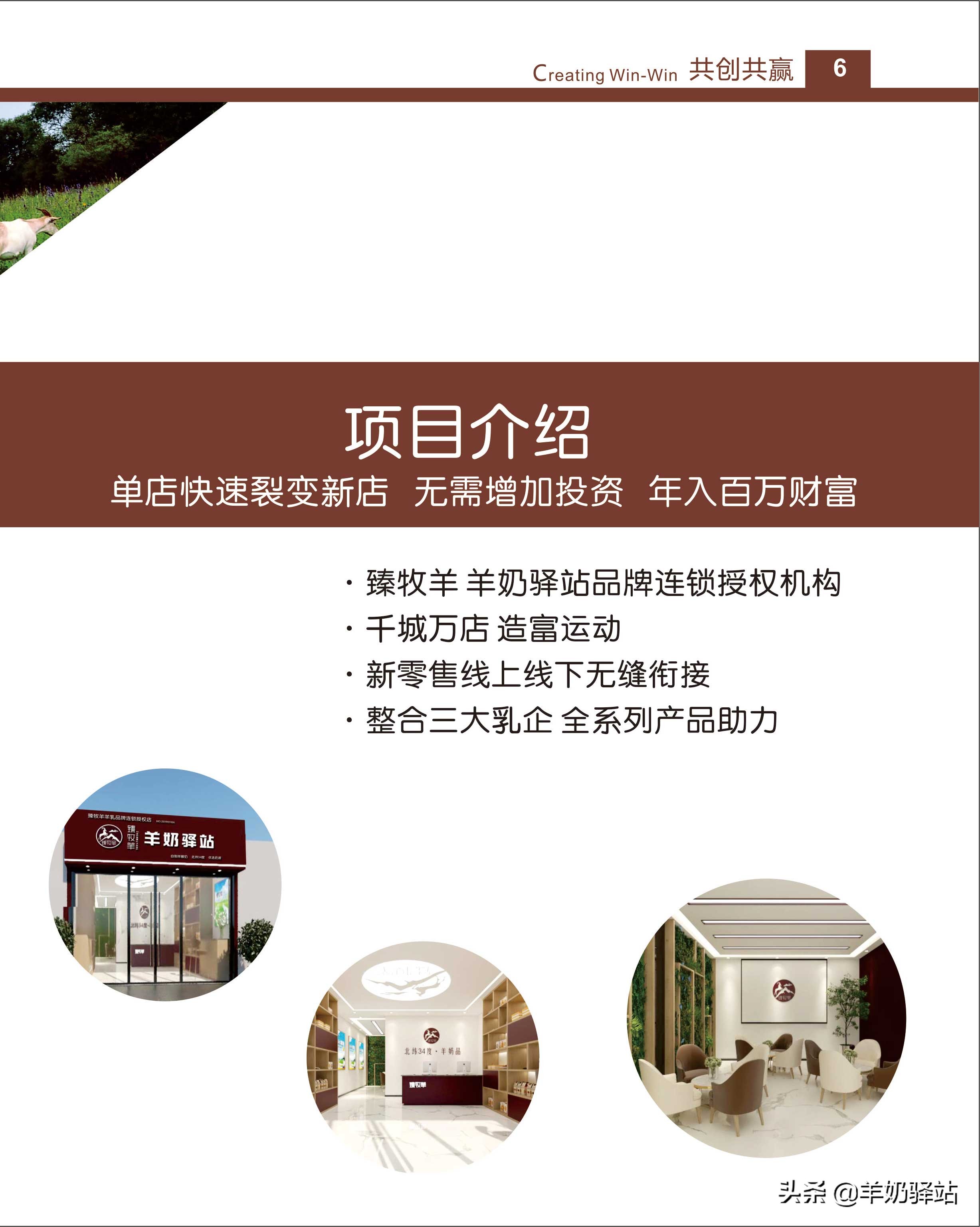 臻牧羊羊奶驿站运营模式,羊奶加盟连锁扶持排行榜