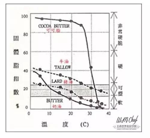 巧克力最全科普指南吃透,巧克力知识大全及答案