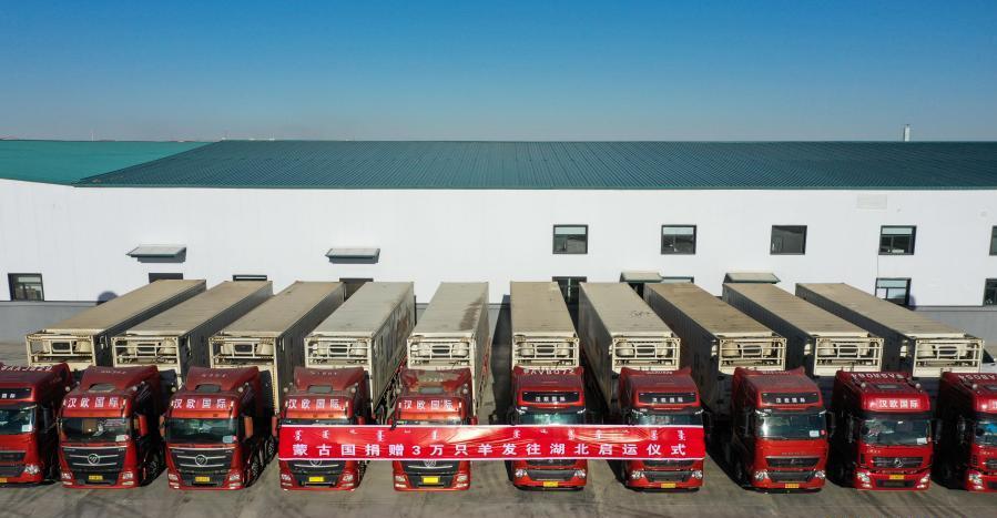 蒙古30000只羊动图,蒙古3万只羊到哪里了