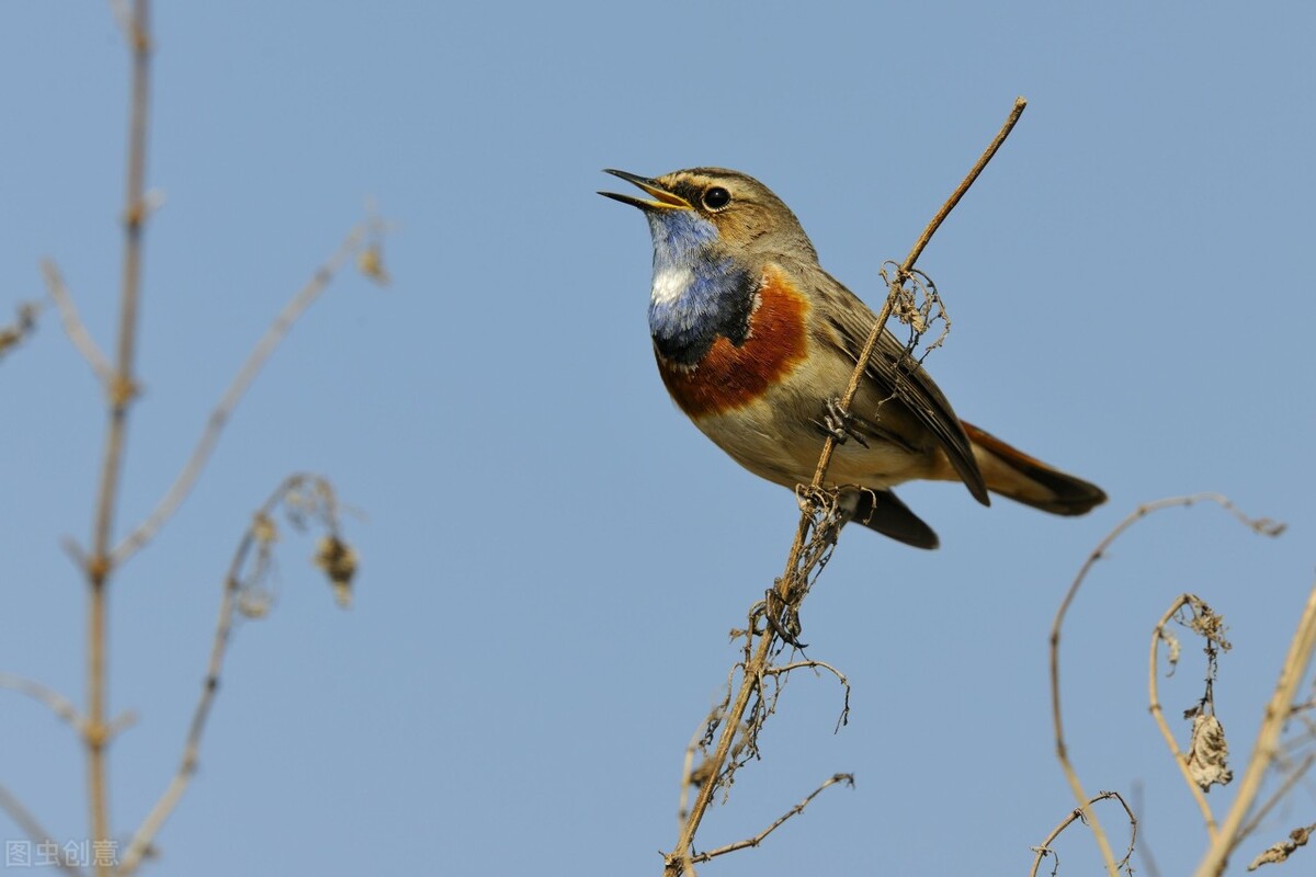 女直人迤北人迤西人山后人锦衣卫非明实录