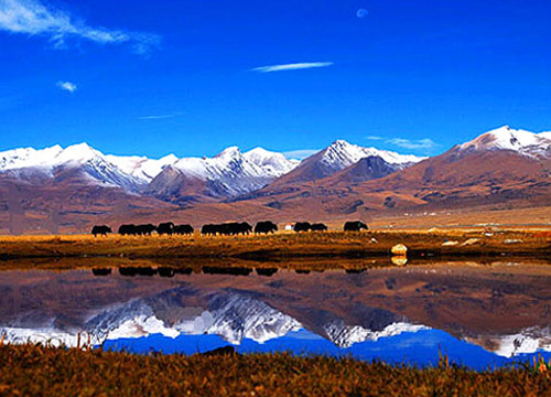 不是谁都可以去云南旅游,不是所有人都可以去高原