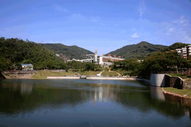 深圳市高中重本上线排名,红岭集团大鹏校区2023年重本率