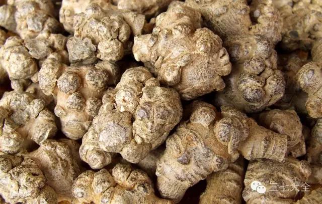 三七选哪种头数好,三七头数是什么意思