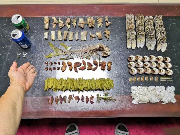 垃圾分类处罚记入征信记录吗,垃圾分类是要负法律责任吗