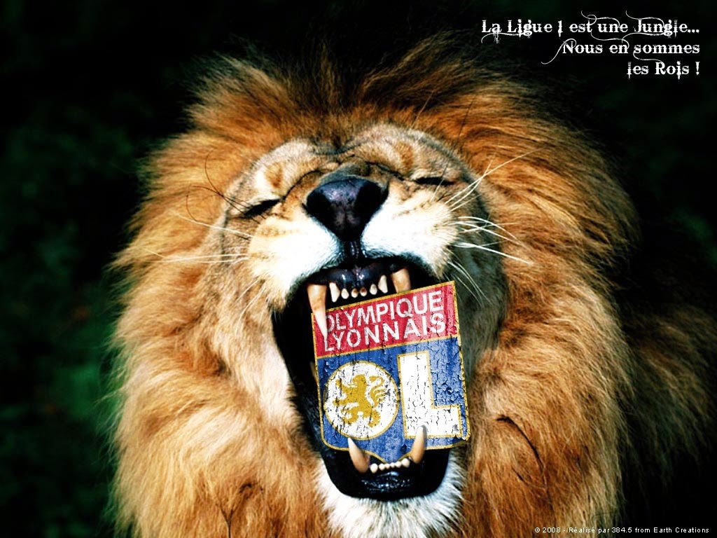 足球无双节目,足球无双