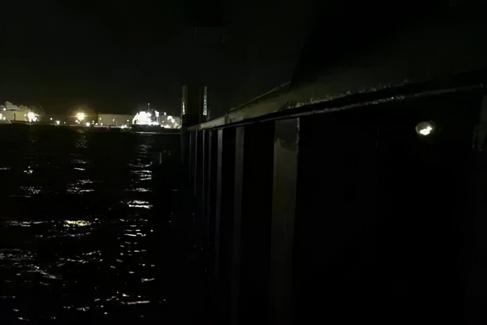 比利时大闸蟹泛滥怎么回事,来聊聊野生海鲜