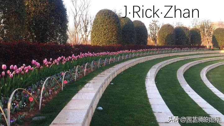 怎么种植草坪不长杂草,如何养好草坪