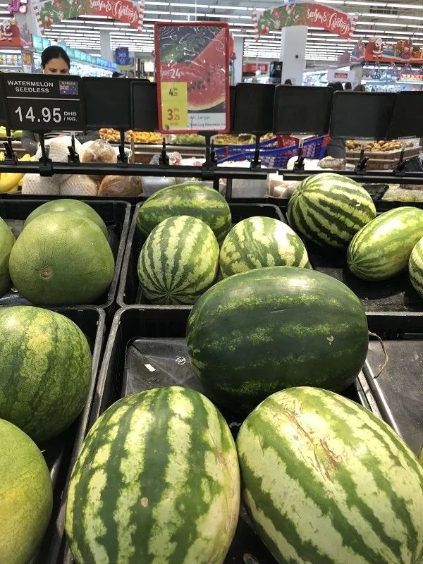 新加坡和迪拜生活成本,迪拜生活费用价目表