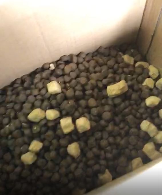 带冻干的狗粮推荐大品牌,猫狗粮推荐排行榜