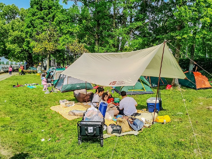 淀山湖柳堤春晓,淀山湖适合露营玩水的地方