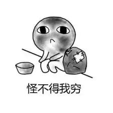 costco上海这几天停业吗,costco又重回刚开业时的火爆景象