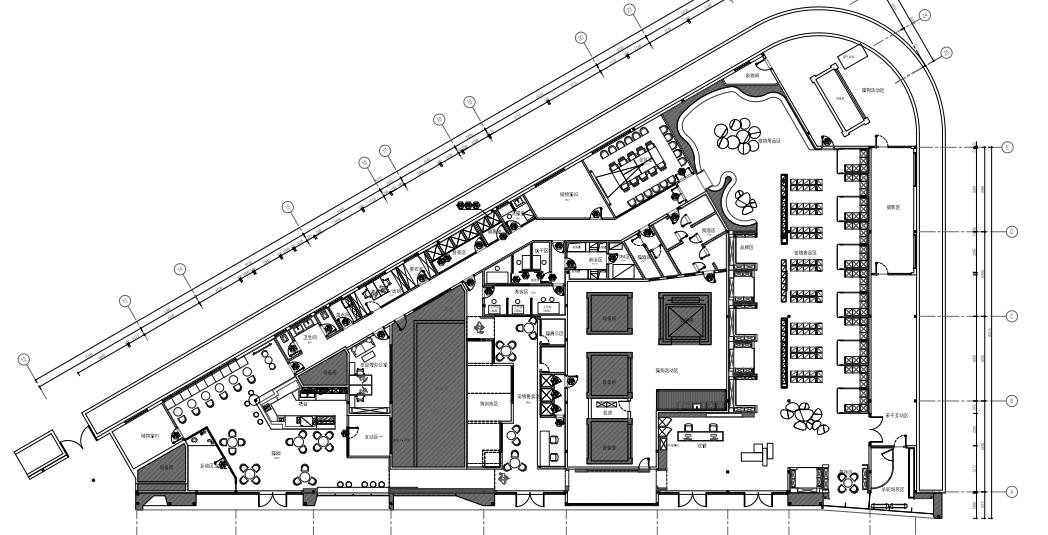 欢迎同行入内，这是一家为宠物店而开的宠物