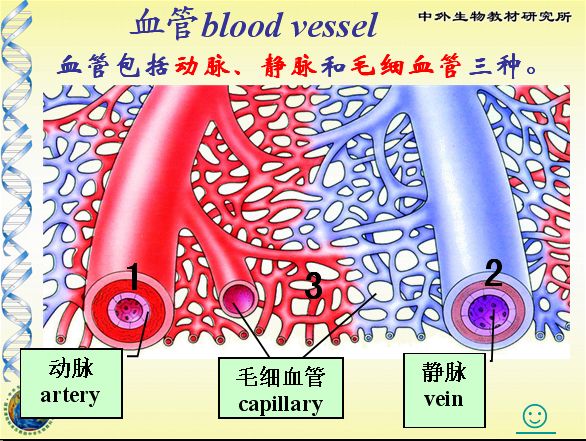 红血丝的四个雷区,关于红血丝你必须知道的几件事