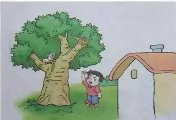 一年级打电话看图写话例文,看图写话小蜜蜂采花蜜例文