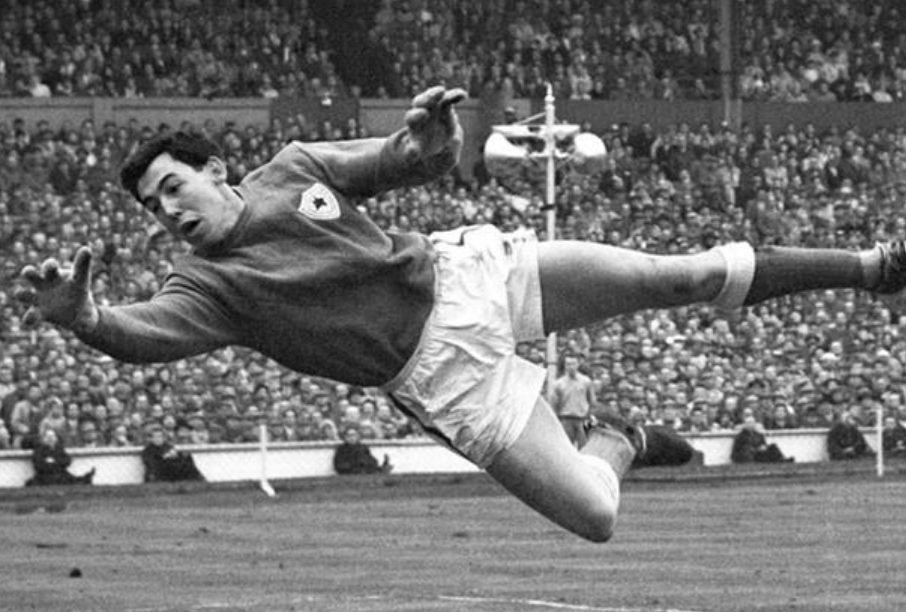 世界足坛历史十大门将排名,2019足坛十大最强门将