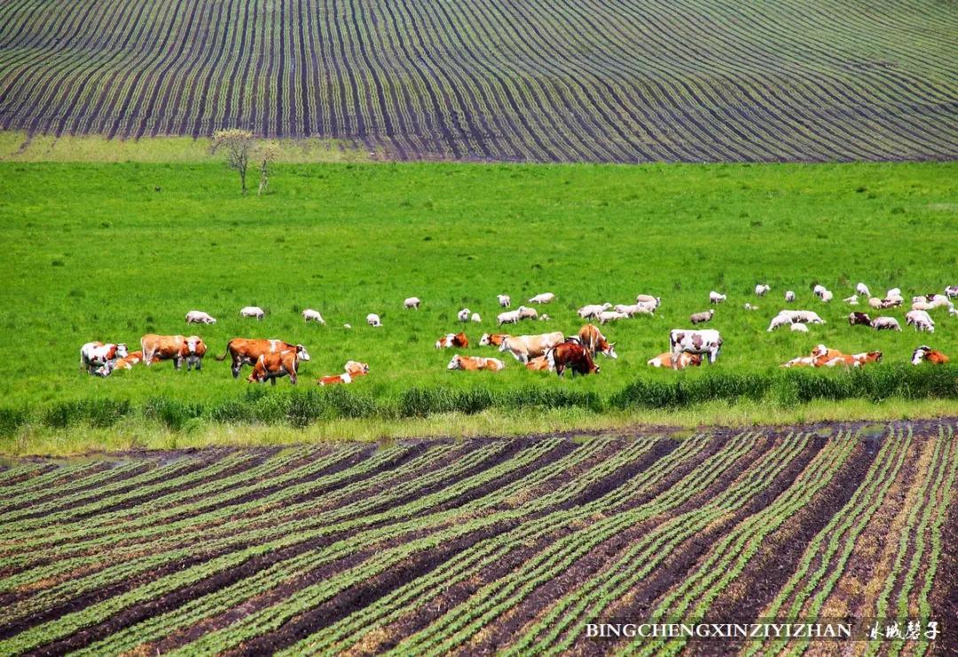 黑河挨着哪里,黑河远方文学