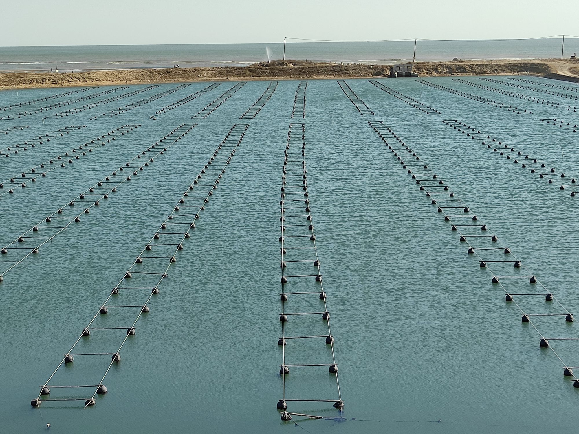 欣赏年画、邂逅大海、闲逛宜家，将生活过成诗与远方