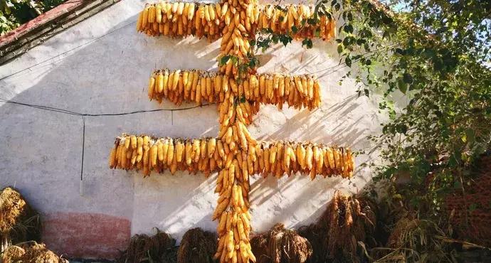 80张图，80个地方，总结哏儿都那些可以多次打卡的圣地~