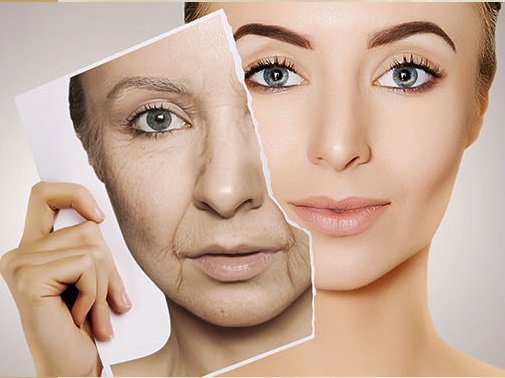 未来十大暴利行业排名,全球三大暴利行业排行榜前十名