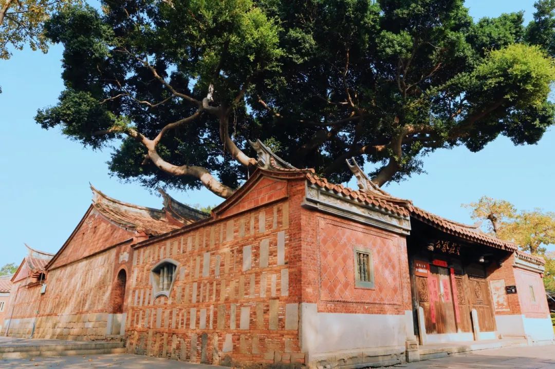 泉州海岸线全国排名,泉州最美海岸线旅游攻略