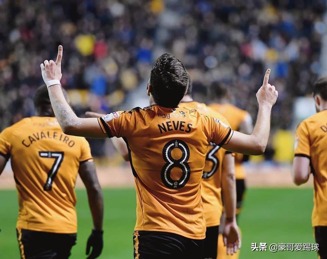 狼王鲁本内维斯,fm足球经理执教俱乐部和国家队