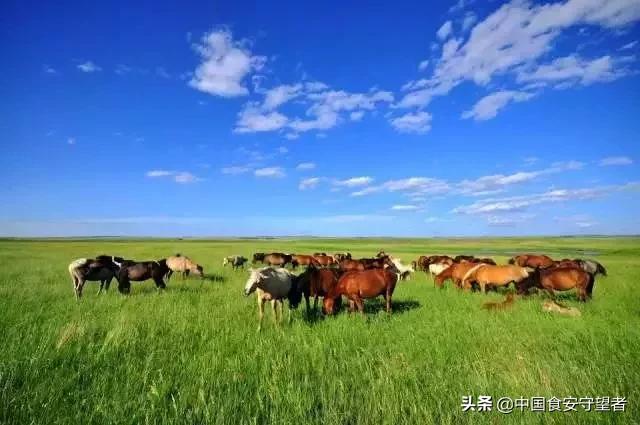 中国各省各县特产,全国各省特产一览表