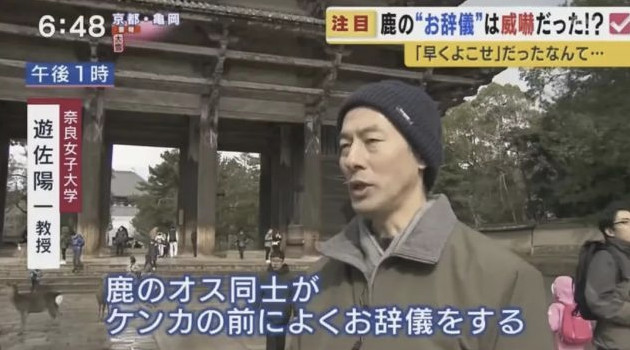 超级妈妈带娃日常生活,超级妈妈带5个孩子