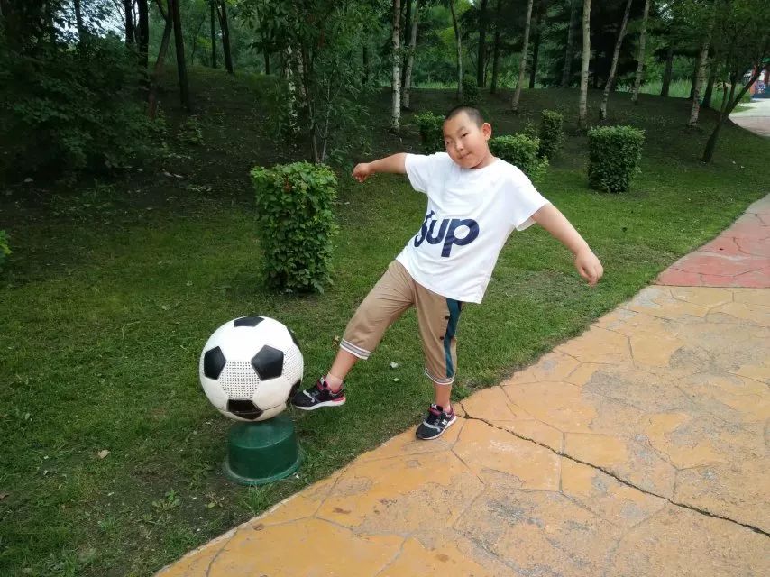 这把伞诵读完整版,这把伞是谁的英文版