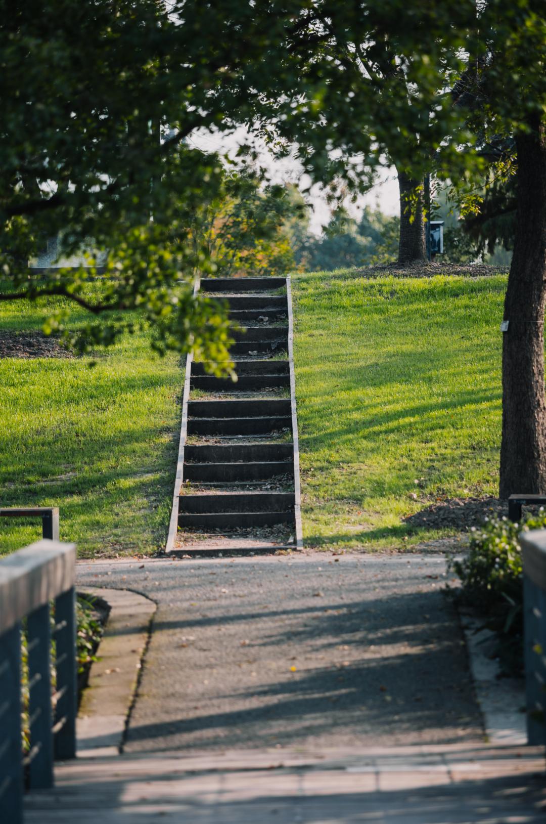 上海最美秋景,上海哪些公园可以拍秋景