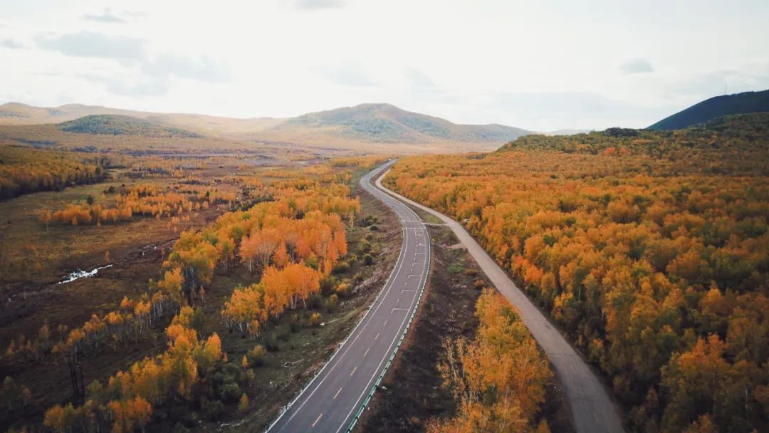 秋色正艳|掌握这6个小技巧，教你拍出绝美秋景