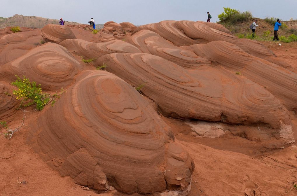 秋天最值得去的四个地方,秋天全部的风景