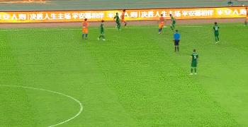 鲁能德尔加多续约了吗,鲁能德尔加多入籍