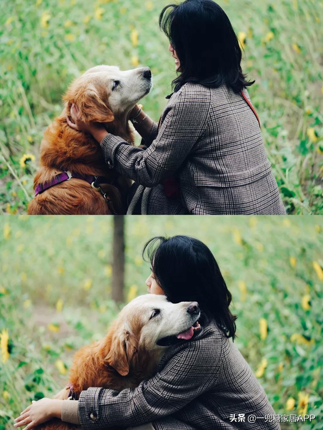 绉嶈崏鐢熸椿鏂瑰紡,绉嶈崏缁囧竷