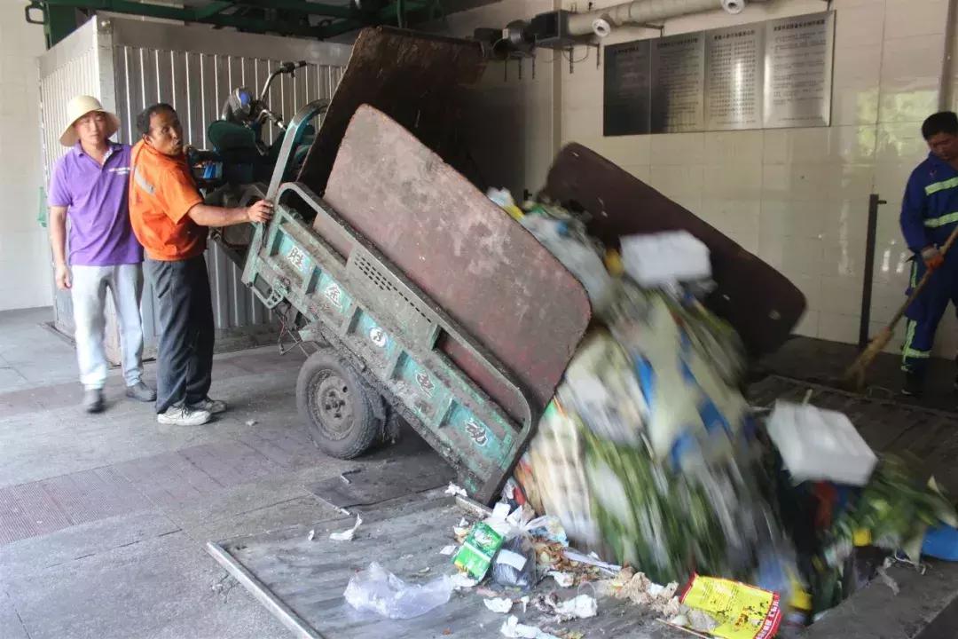 70年，不问冬夏，她们是最美的“城市黄玫瑰”