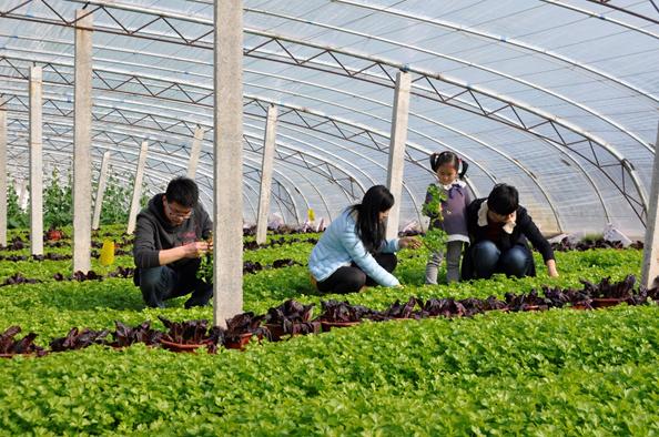 泱泱齐风临淄,淄博临淄世界足球起源地