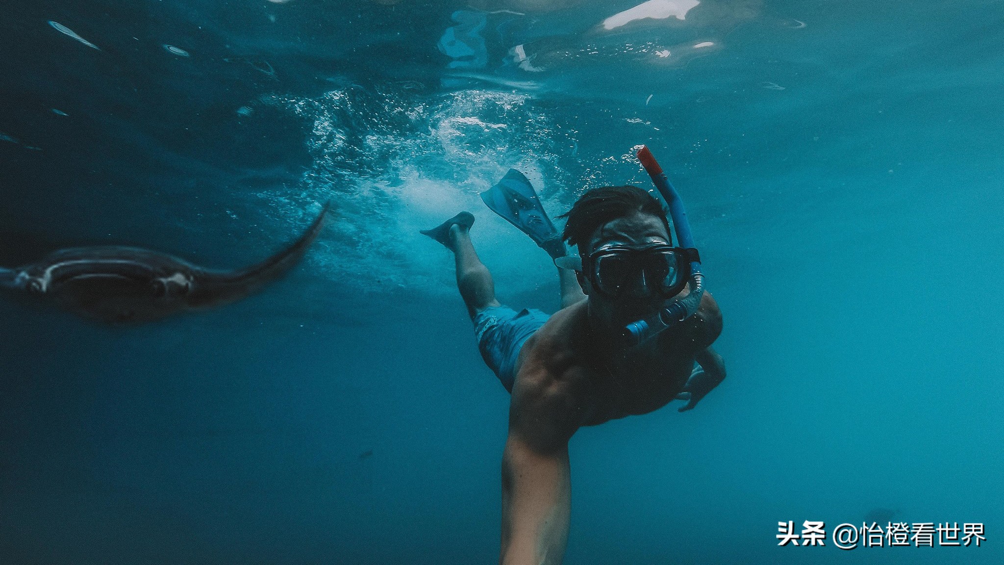 柏典马尔代夫婚礼,柏典马尔代夫房间实拍