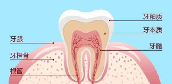 电动牙刷哪种对牙损伤的好用,口腔电动牙刷你真的会用吗