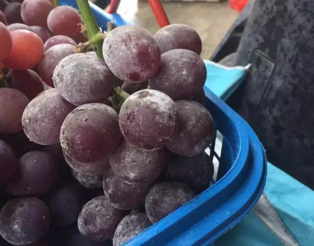 葡萄果实表面有黑斑是什么病害,葡萄幼果期有锈斑什么原因