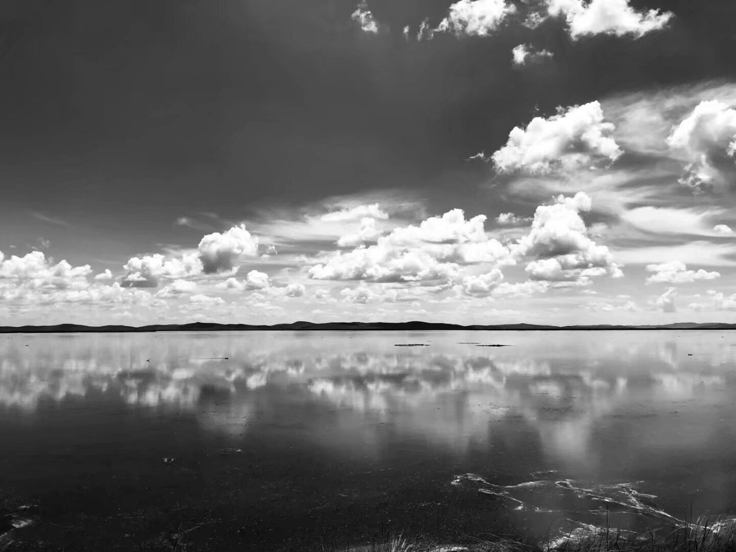 待在舒适区的人永远都不会努力,活在舒适区等于慢性杀死自己