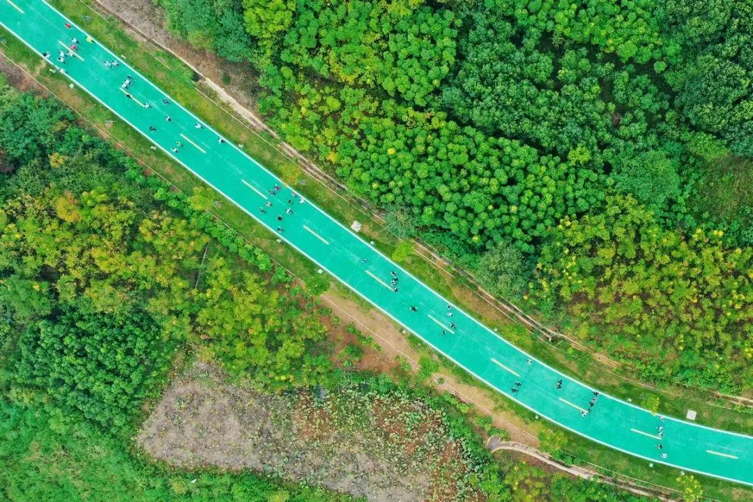 在你心中世界是什么颜色的,在你心中是什么样子的