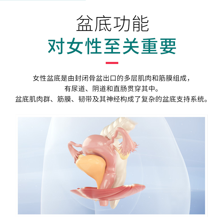 英国BTL美缇斯emsella非侵入式产后修复私密设备？