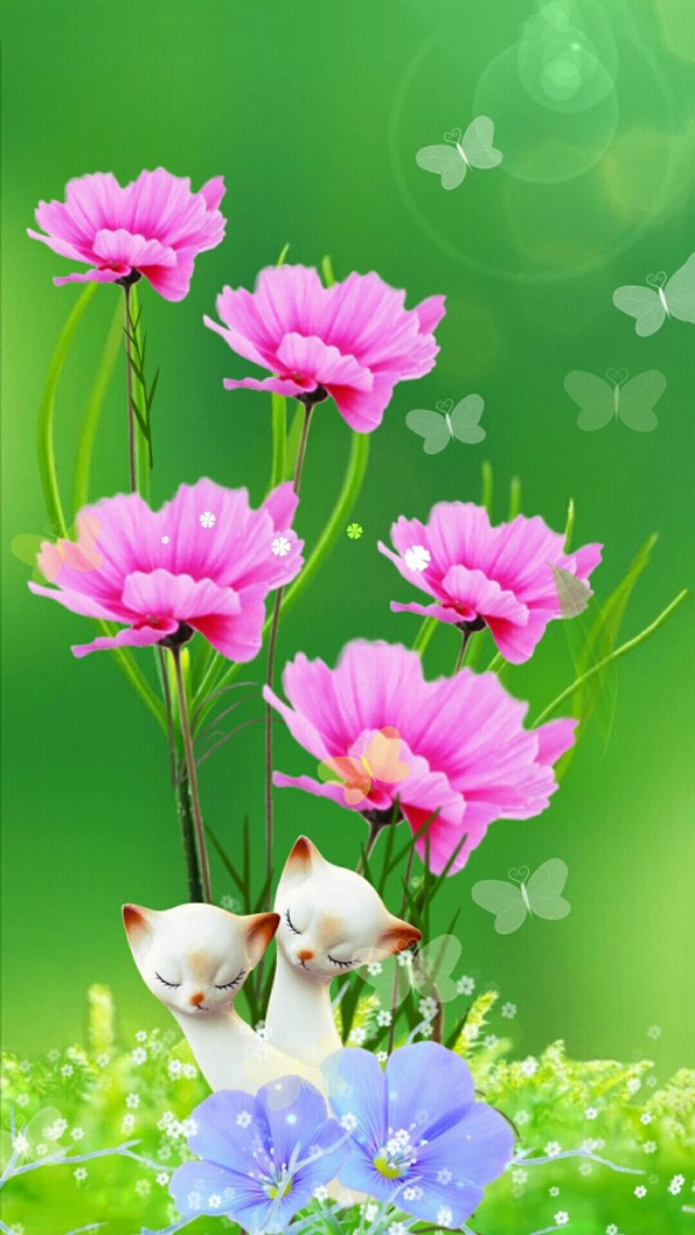 小清新花朵壁纸唯美文艺,唯美淡雅花朵风景图片壁纸