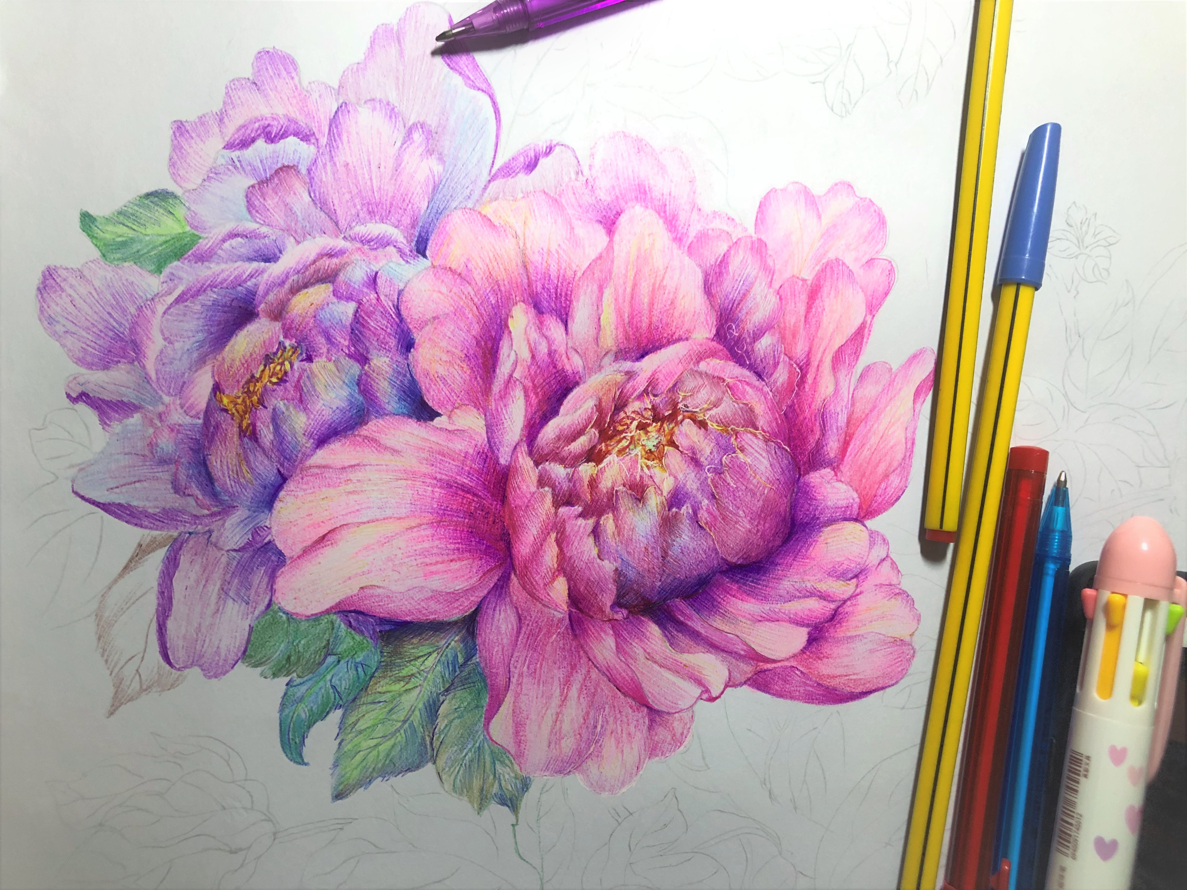 圆珠笔画牡丹教学,圆珠笔画牡丹的画法