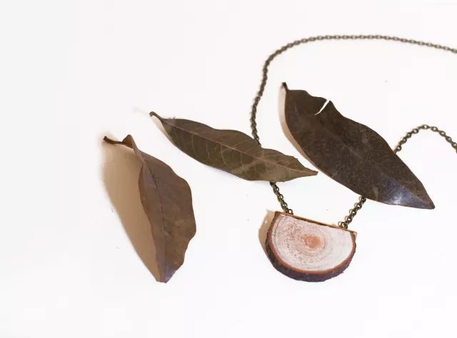 她31岁放弃北漂，回归自然，用枯枝败叶，打造了一个梦幻森林