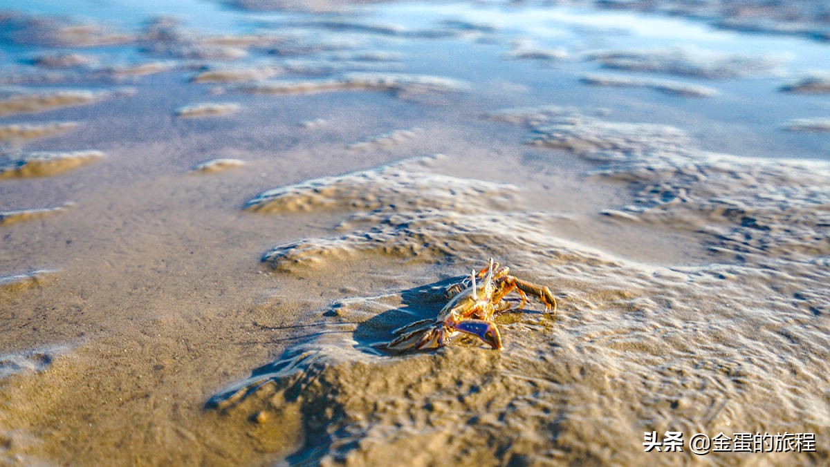 上海奉贤周末带娃好去处10岁左右,上海奉贤周末遛娃好去处推荐