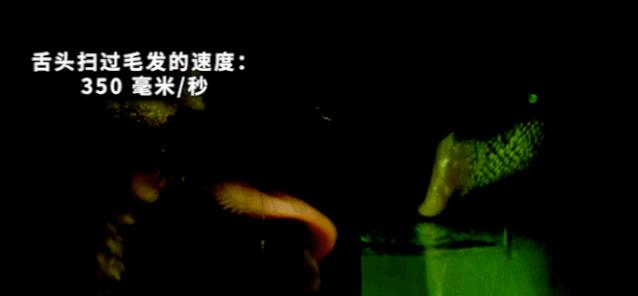 孩子膀胱容量130,儿童最大膀胱容量197正常吗