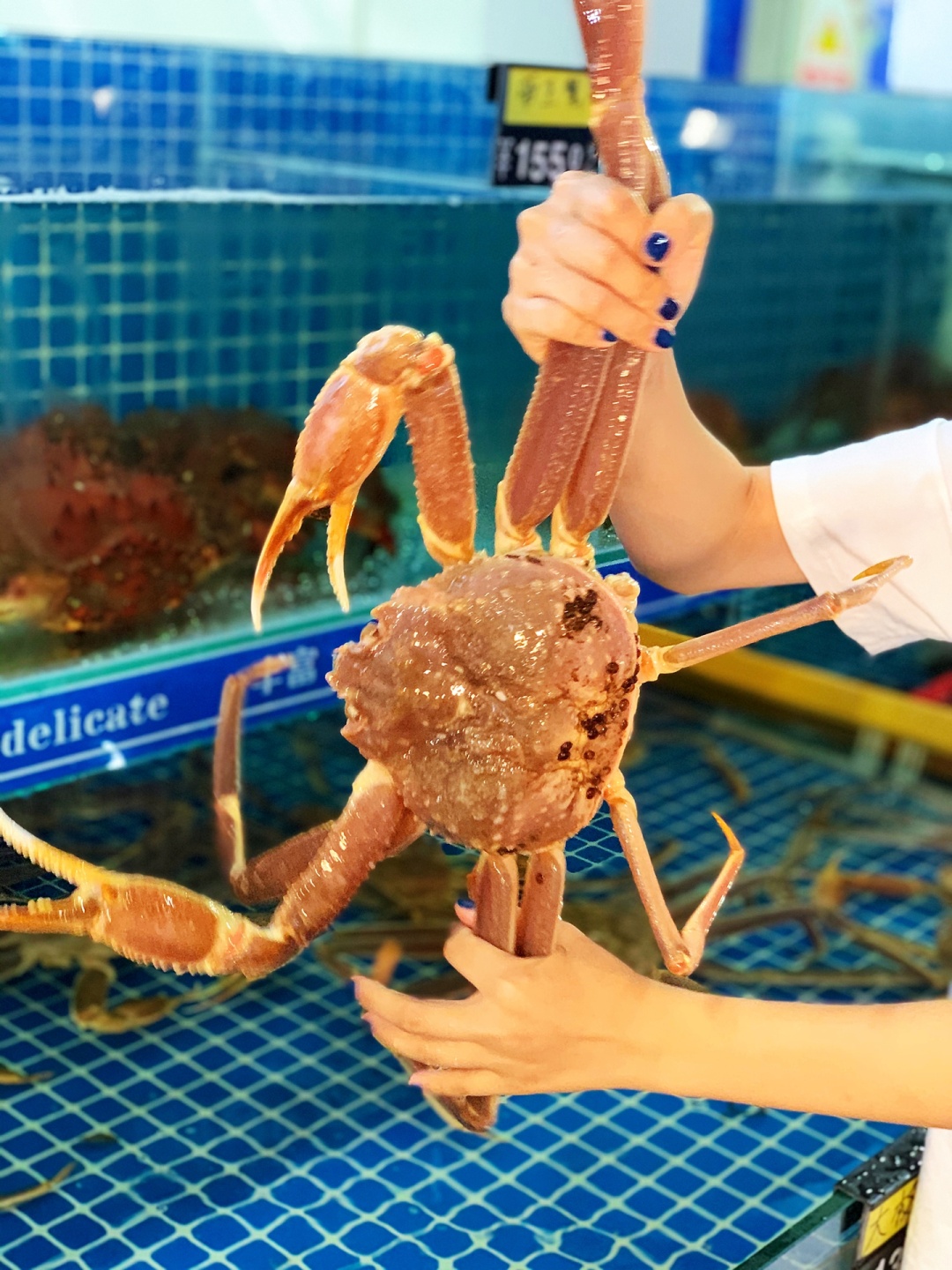 30年老厨师毫不保留教你做香辣酱,30年的老厨师教做新疆大盘鸡