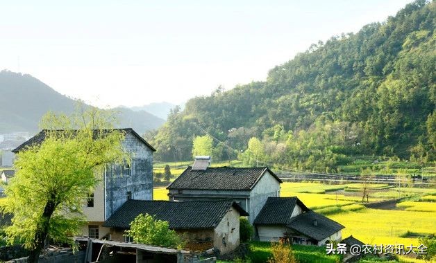 农村干什么生意最好最赚钱见效,2022年农村最赚钱的十大生意